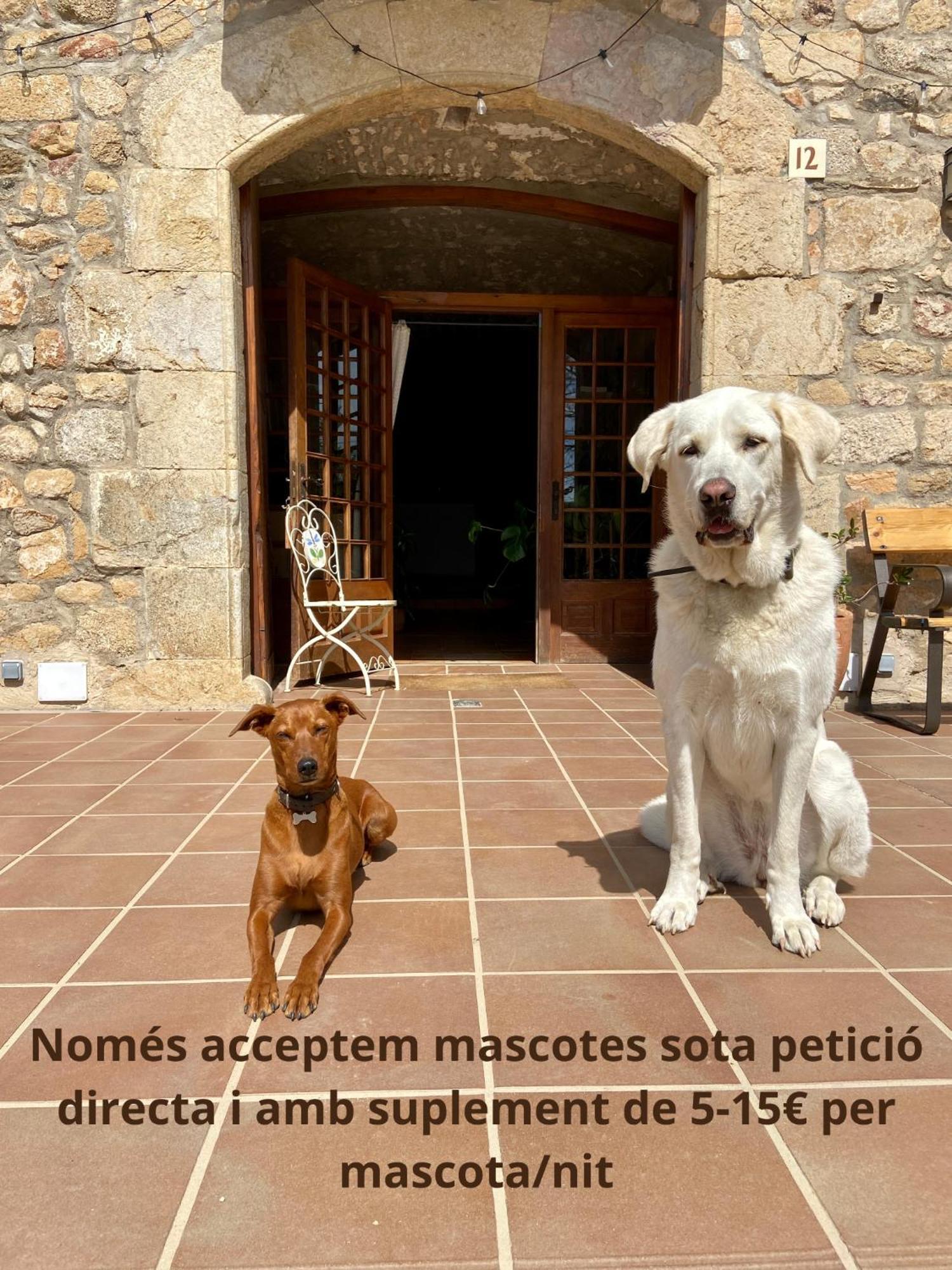 מלון פלאמוס Ecoturisme Mas Ribas מראה חיצוני תמונה